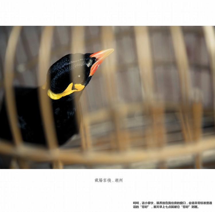 Zai Yang Inn Чаочжоу Экстерьер фото